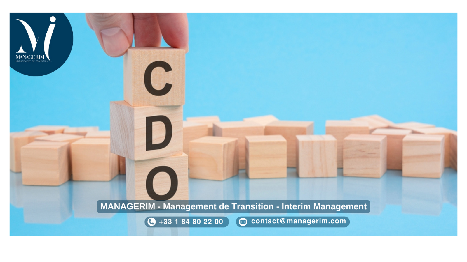 Directeur du Digital (CDO) Manager de Transition MANAGERIM