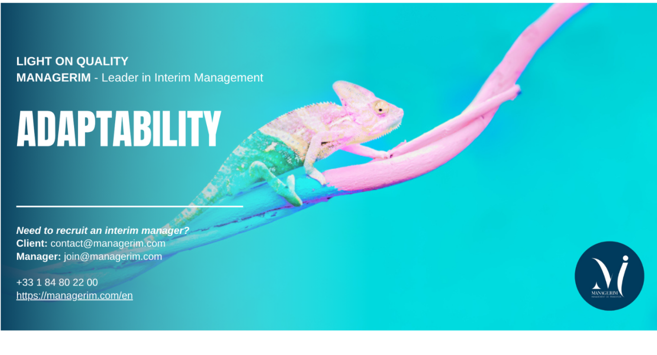 Adaptability among our Interim Managers - MANAGERIM