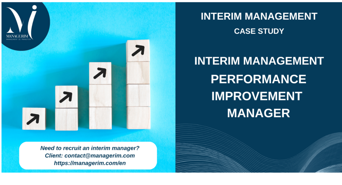 Interim Manager Performance Improvement Manager MANAGERIM