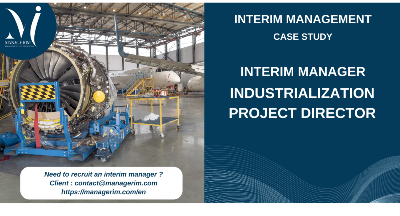 Interim Manager Industrialisation Project Director MANAGERIM