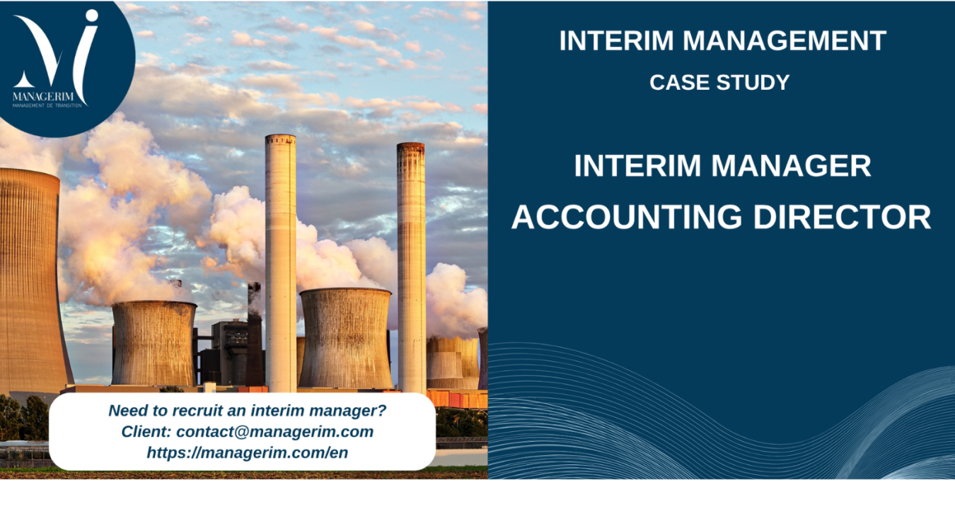 Interim Manager Accounting Director MANAGERIM