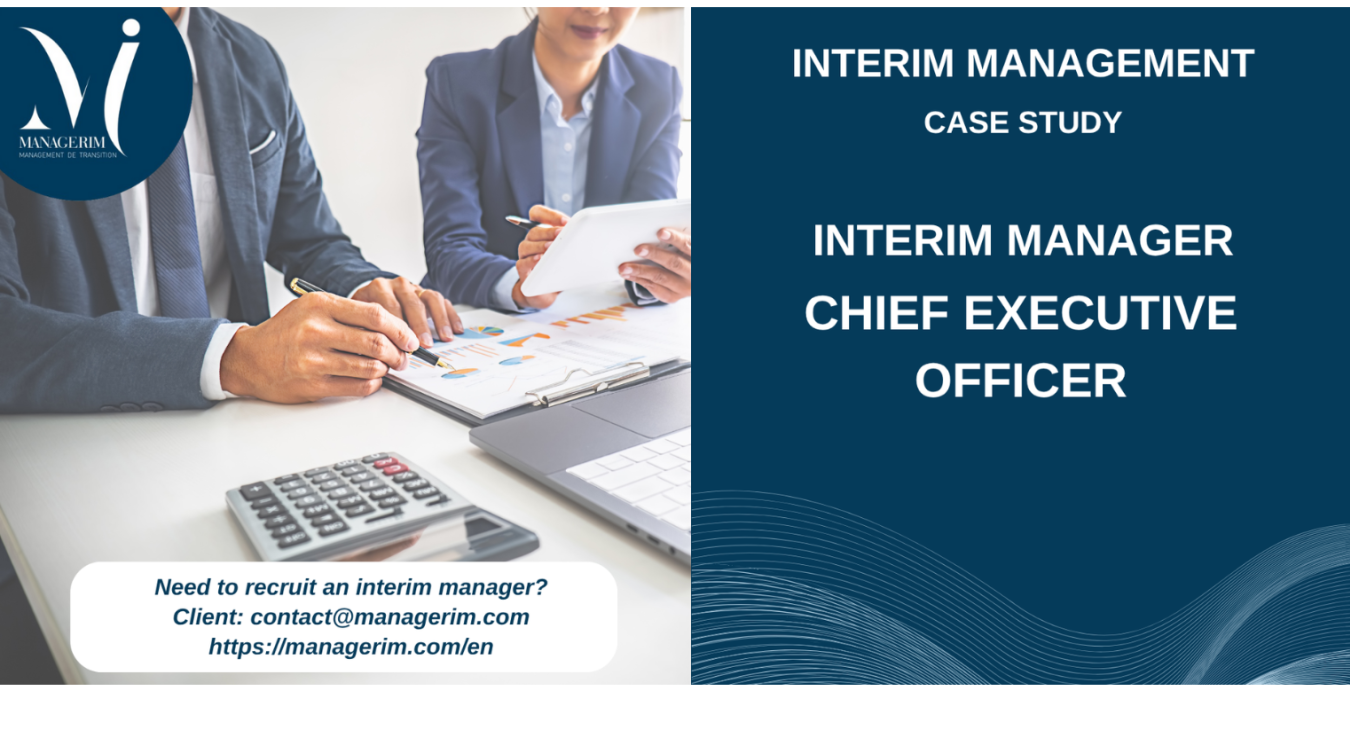 Interim Manager Chief Executive Officer Financial Services Sector MANAGERIM