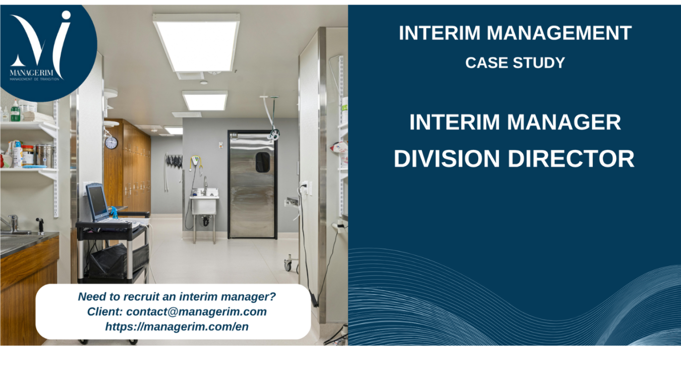 Interim Manager Division Director MANAGERIM