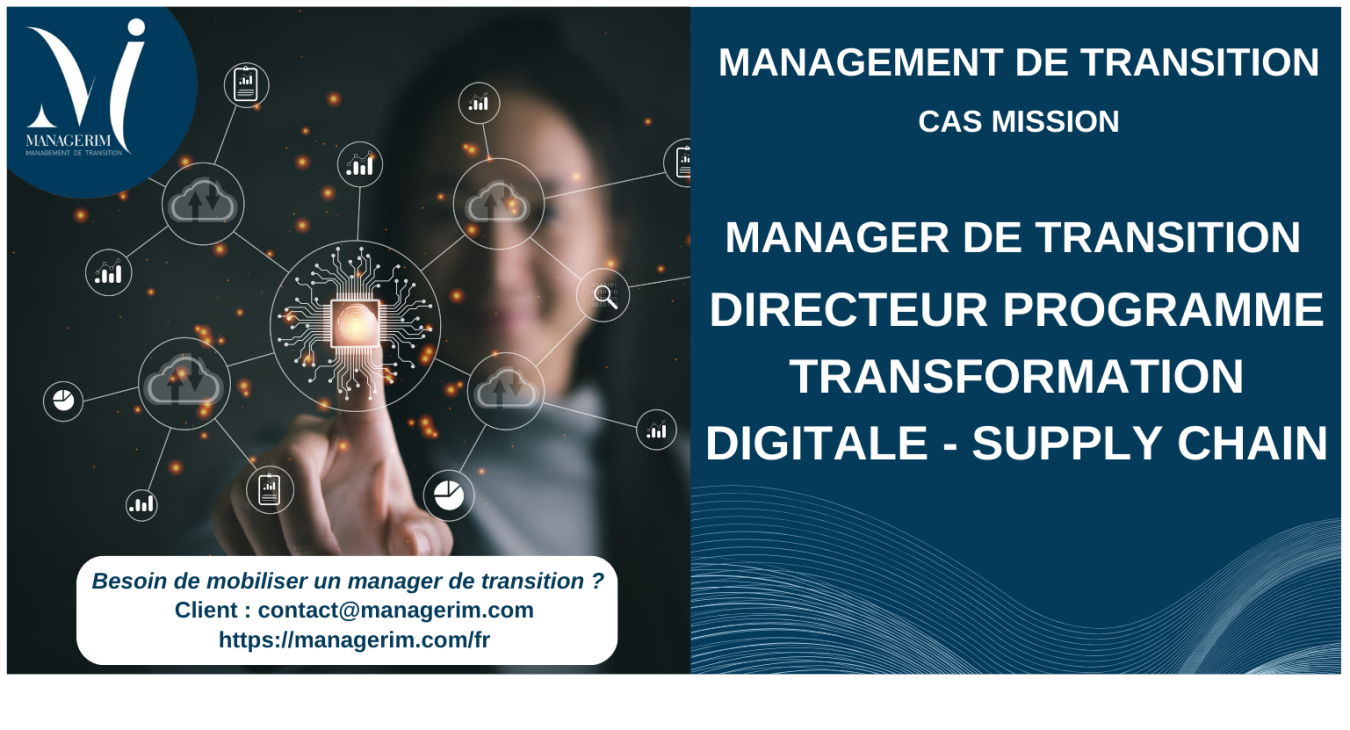 Manager de Transition Directeur Programme Transformation Digitale MANAGERIM