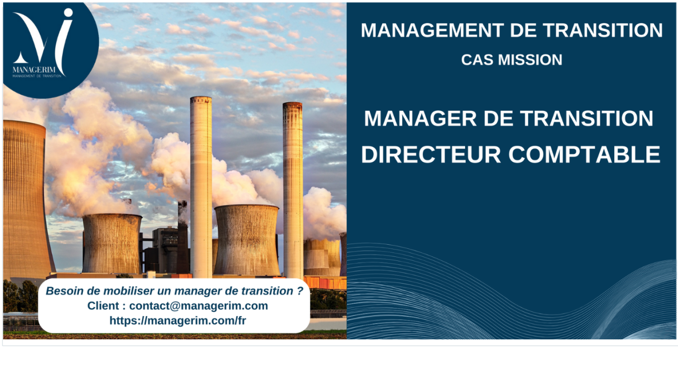Manager de Transition Directeur Comptable Industrie MANAGERIM