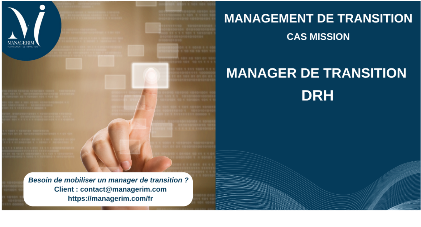 Manager de Transition DRH Services Numériques MANAGERIM