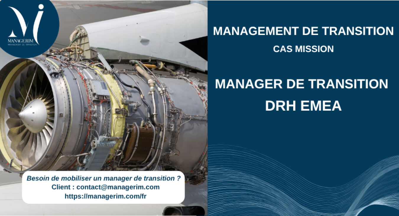 Management de Transition Directeur des Ressources Humaines EMEA Industrie Aéronautique MANAGERIM