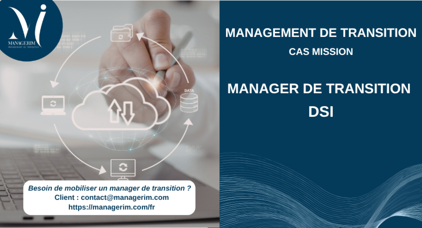 Management de Transition DSI Services Numériques MANAGERIM