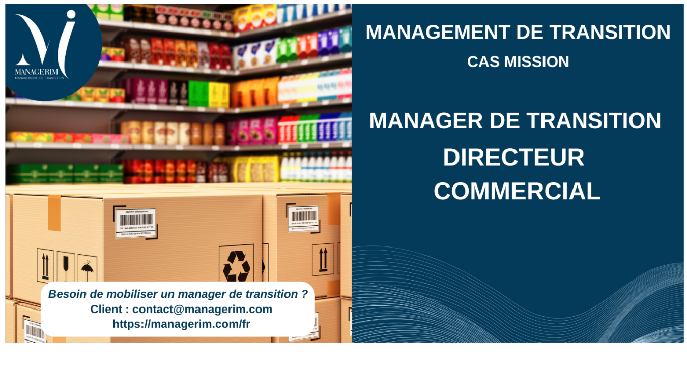 Manager de Transition Directeur Commercial MANAGERIM