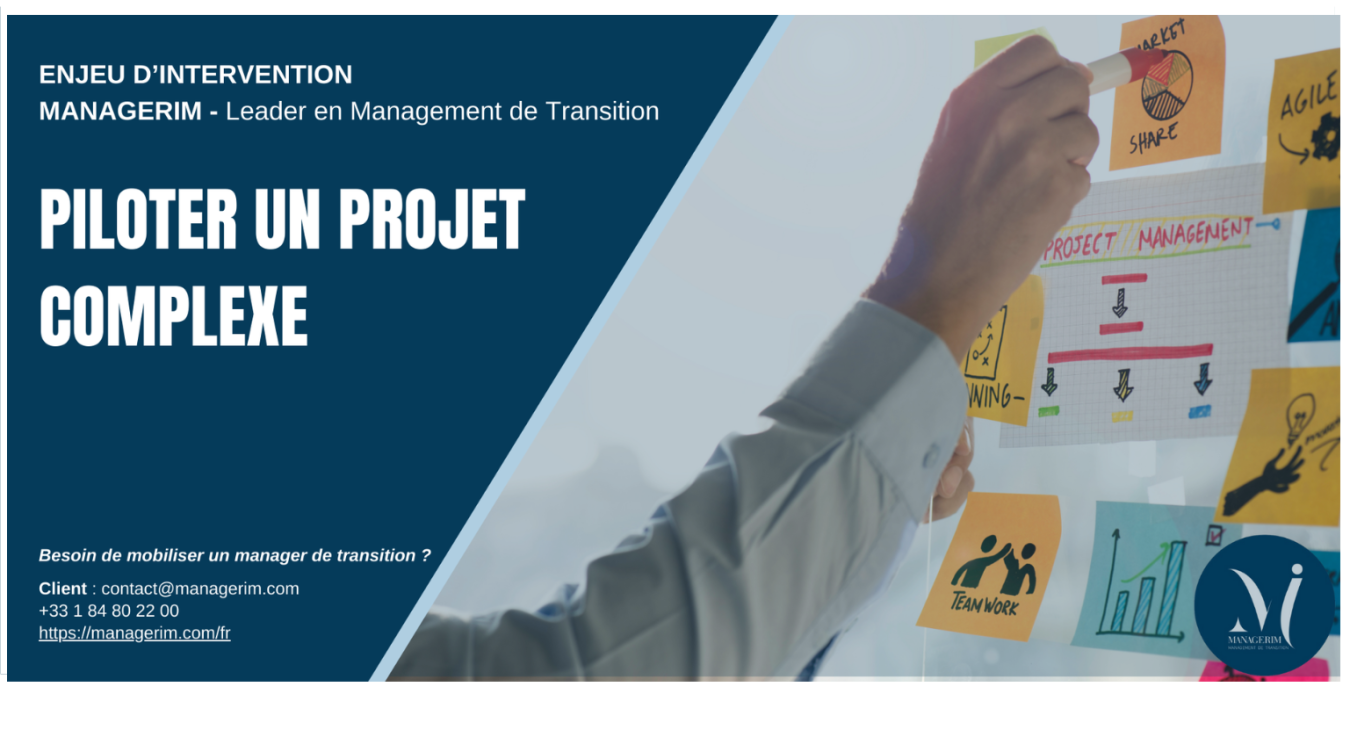 Piloter un projet complexe avec le Management de Transition MANAGERIM