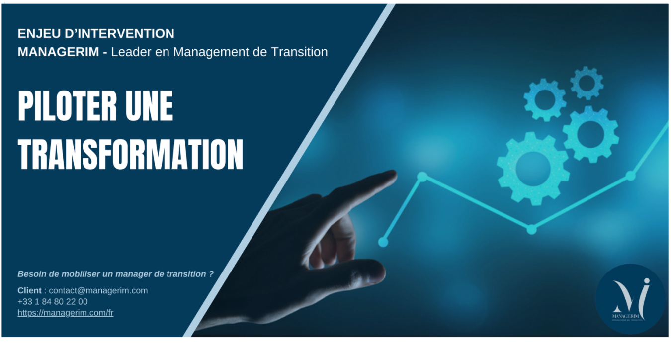 Piloter une transformation avec le Management de Transition MANAGERIM