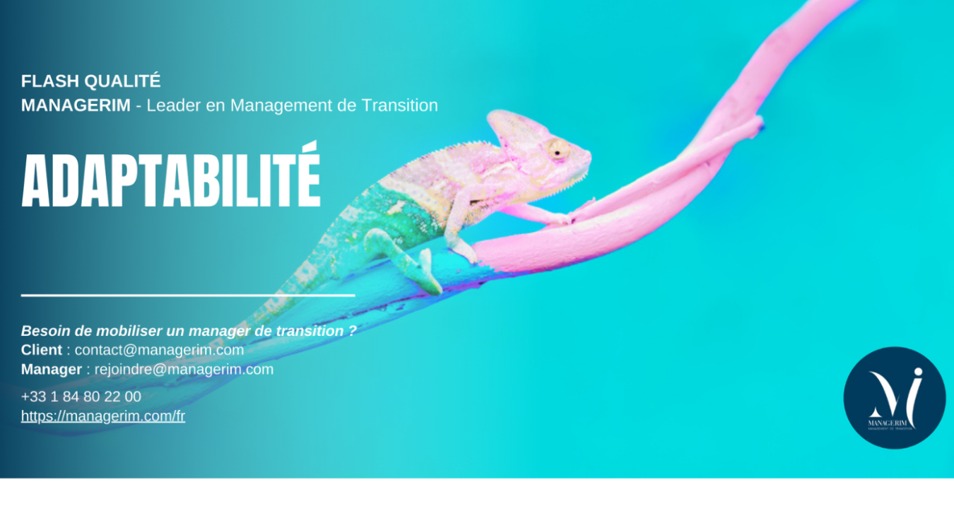 L'adaptabilité chez un Manager de Transition - MANAGERIM