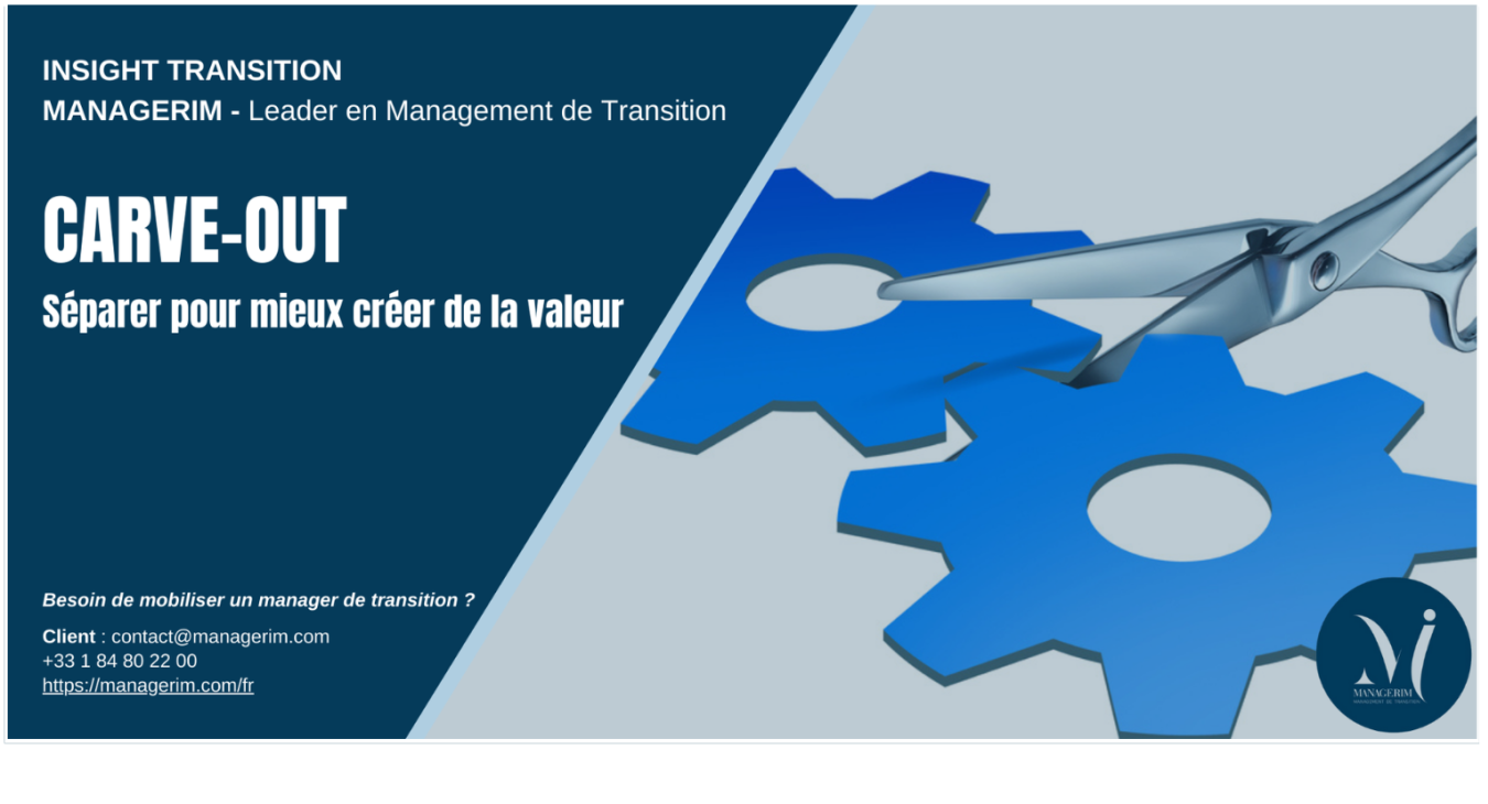 Carve Out et Management de Transition MANAGERIM