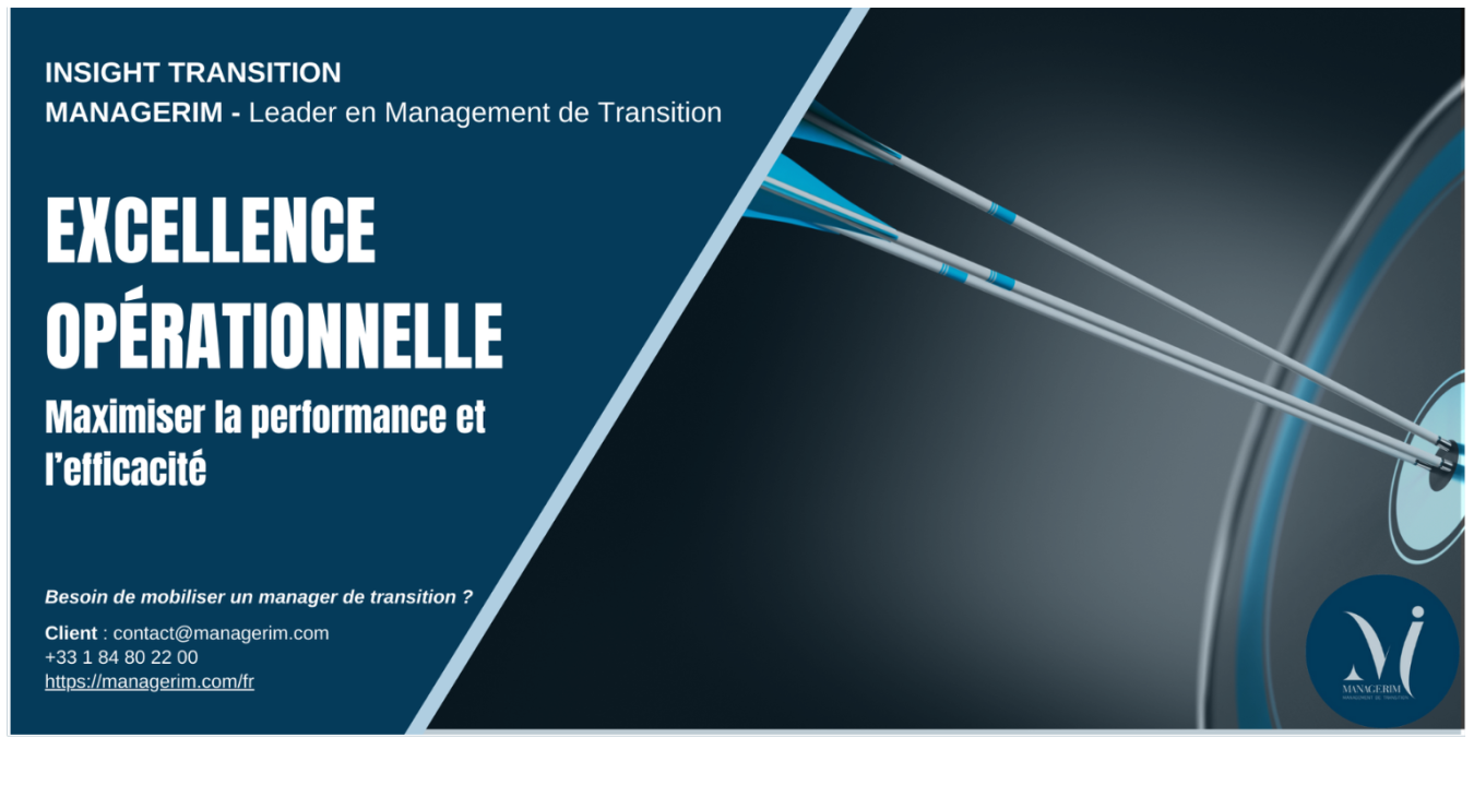 L'excellence opérationnelle dans le Management de Transition MANAGERIM