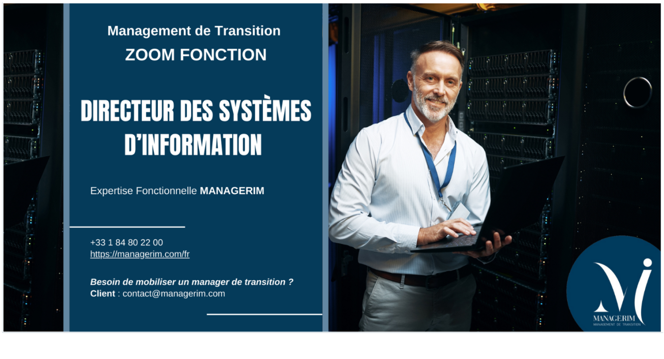 Fonction Manager de Transition DSI MANAGERIM