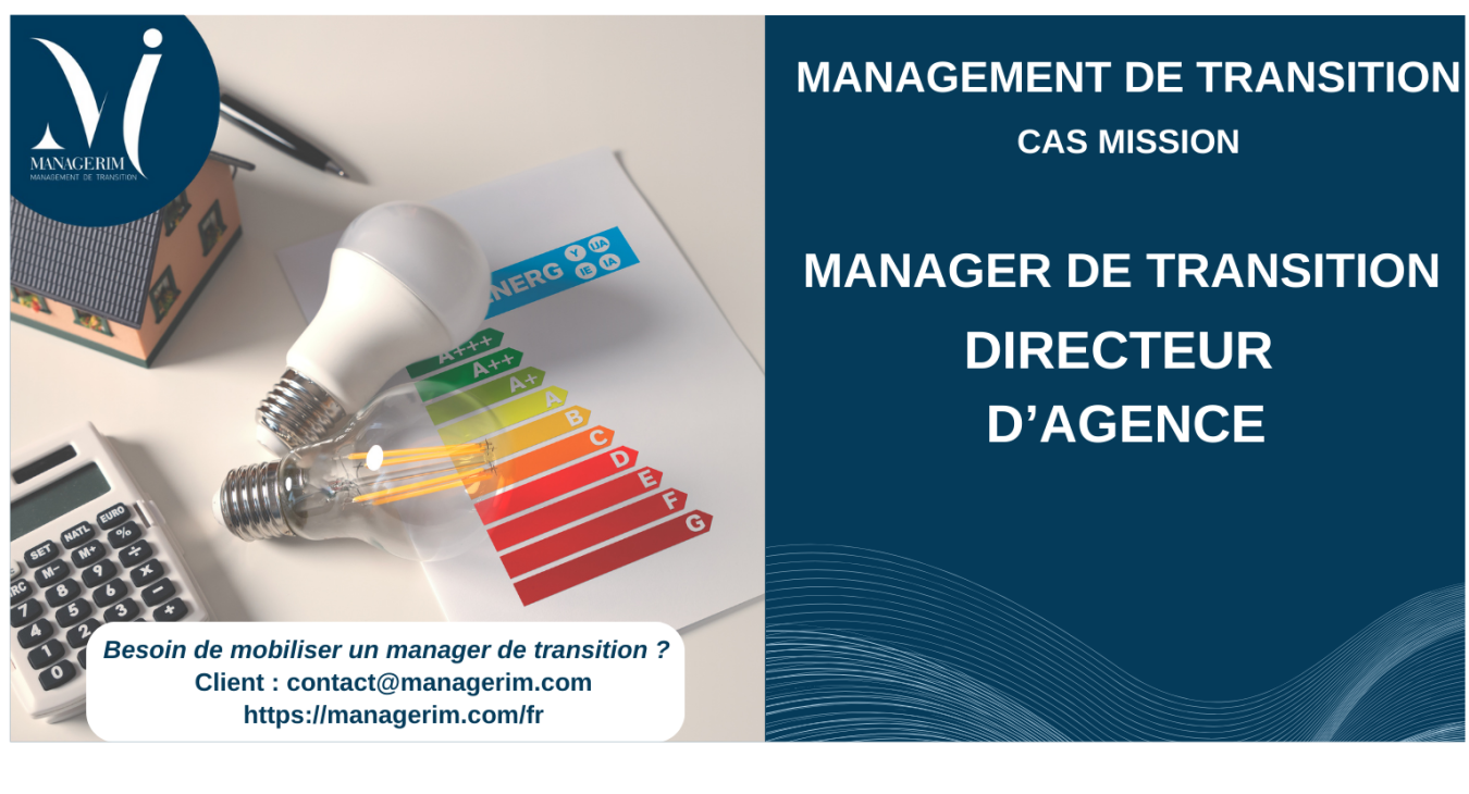 Manager de Transition Directeur d'Agence MANAGERIM