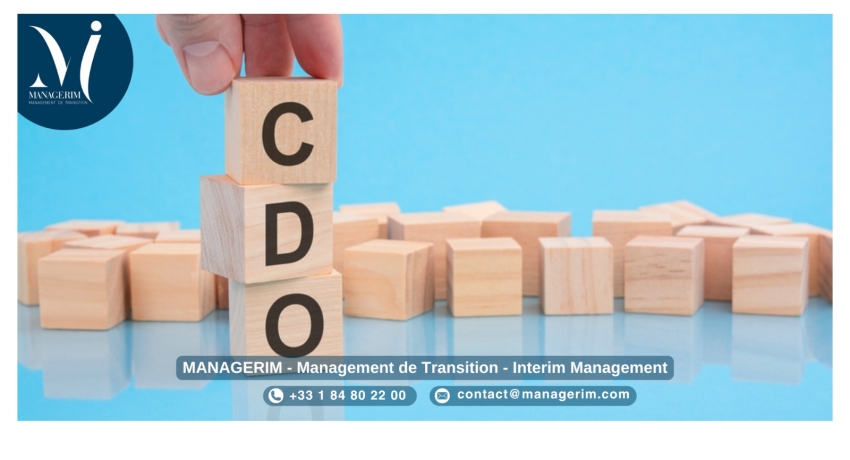 Directeur du Digital (CDO) Manager de Transition MANAGERIM