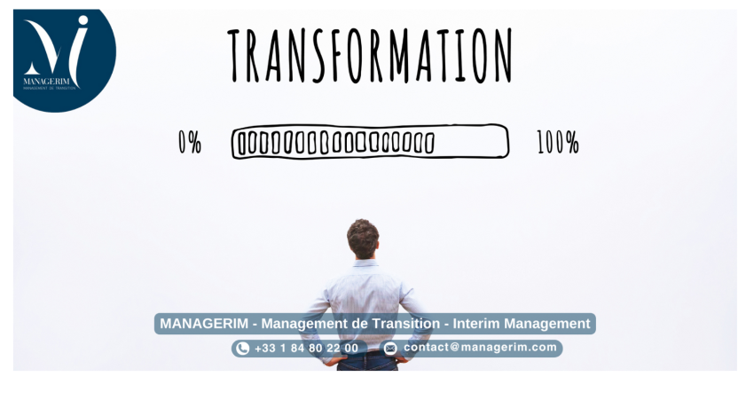 Directeur de la Transformation Manager de Transition MANAGERIM