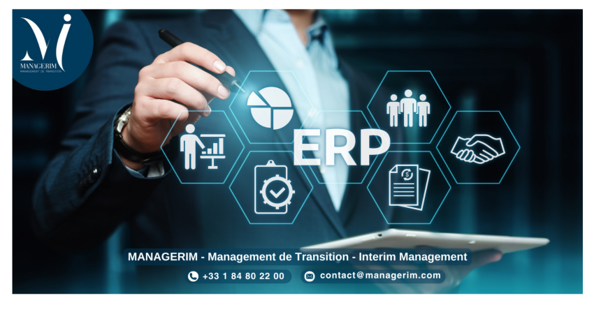 Project Management Officer (PMO) Manager de Transition MANAGERIM