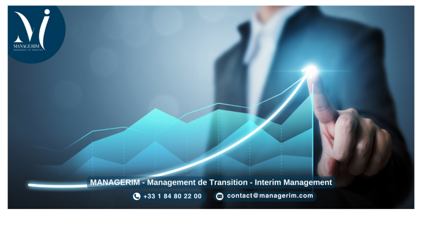 Performance Improvement MANAGERIM