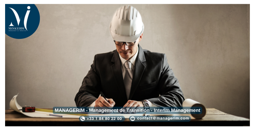 Le Métier de Manager de Transition MANAGERIM