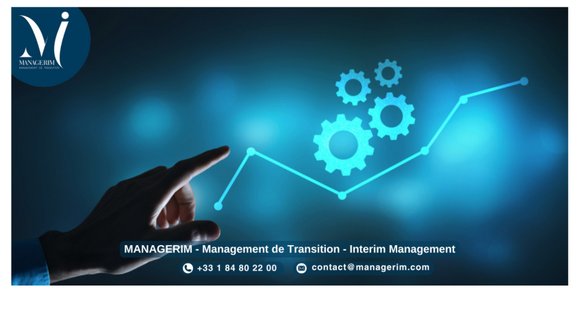 Organisational or Business Transformation MANAGERIM