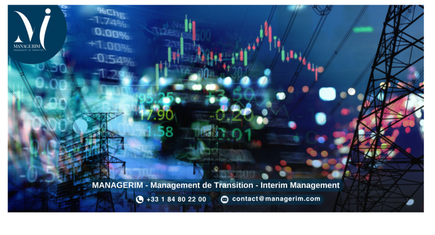 Services Technologies Numérique Médias Télécommunications Management de Transition MANAGERIM