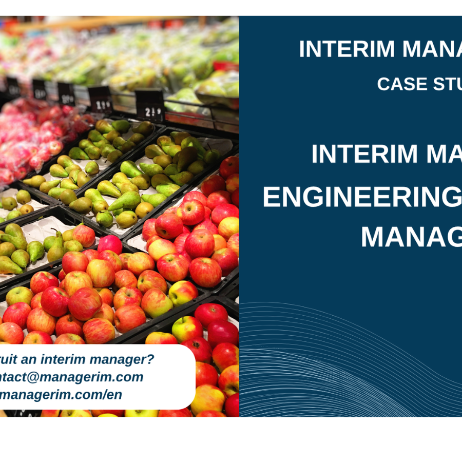 Interim Manager Engineering Project Manager MANAGERIM