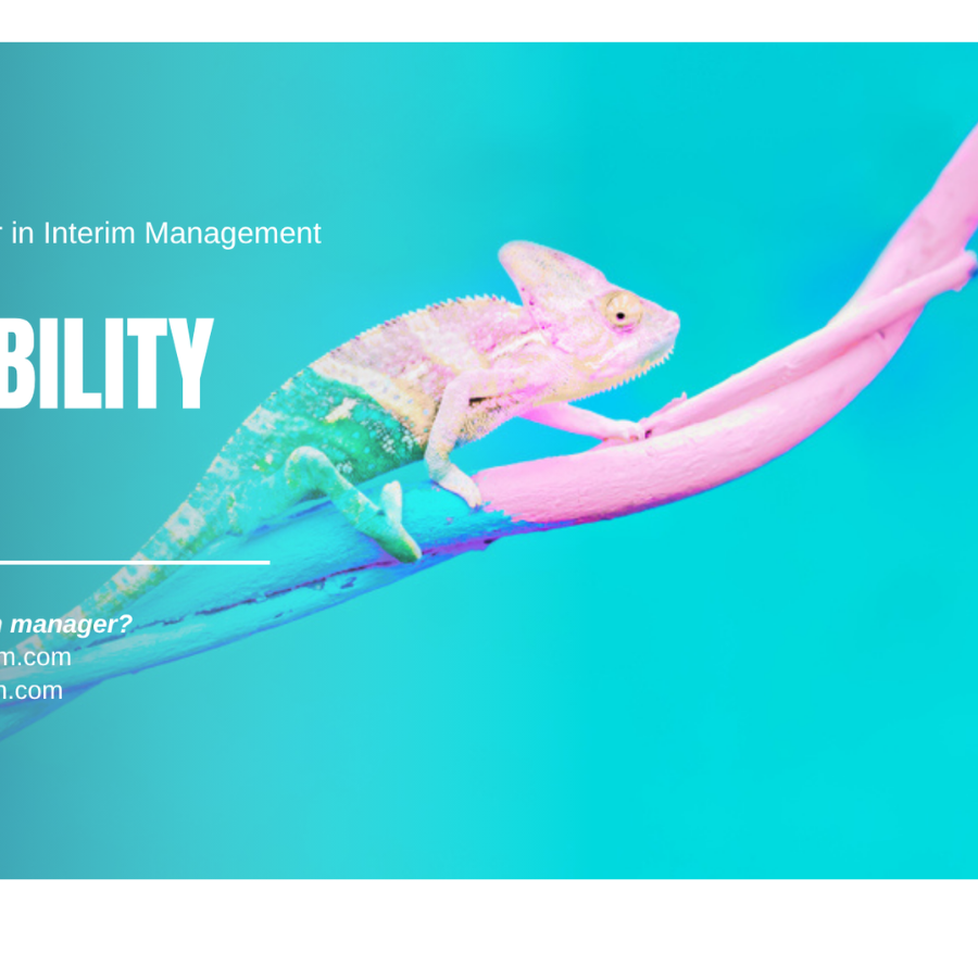 Adaptability among our Interim Managers - MANAGERIM