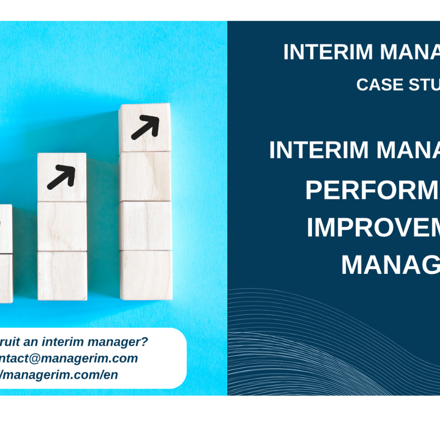 Interim Manager Performance Improvement Manager MANAGERIM