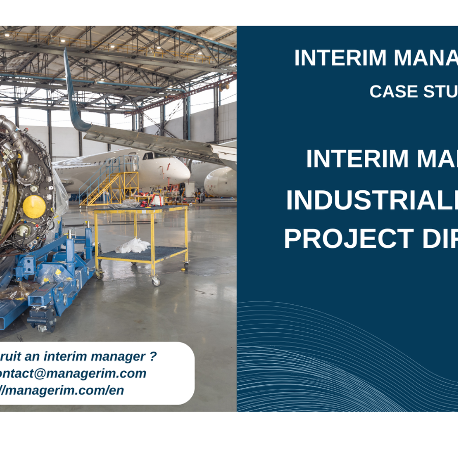 Interim Manager Industrialisation Project Director MANAGERIM