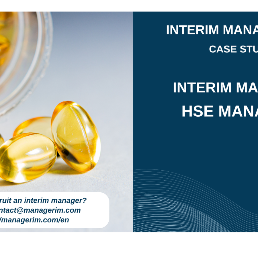 Interim Manager HSE Manager MANAGERIM