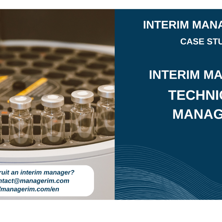 Interim Manager Technical Manager MANAGERIM