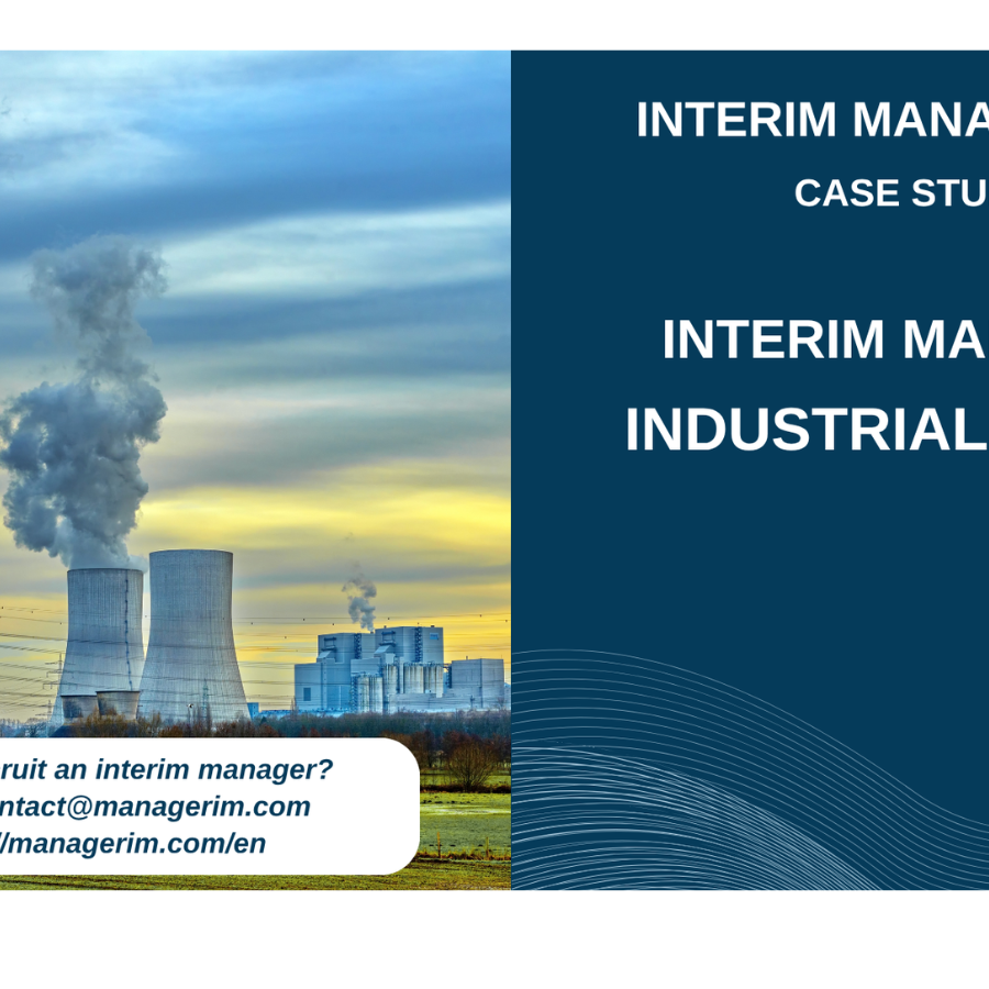 Interim Manager Industrial Buyer MANAGERIM