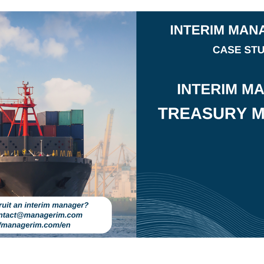 Interim Manager Treasury Manager MANAGERIM