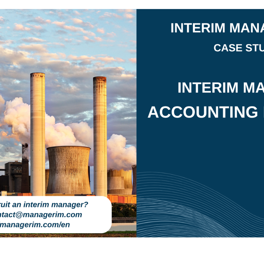 Interim Manager Accounting Director MANAGERIM