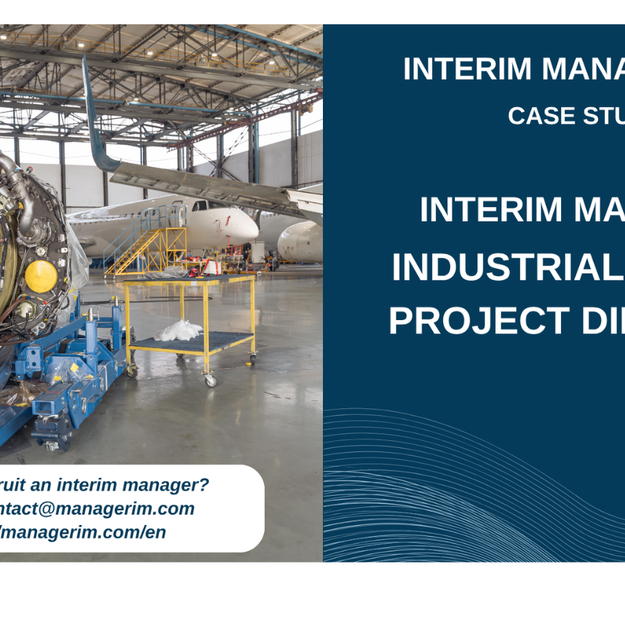 Interim Manager Project Industrialization Director MANAGERIM