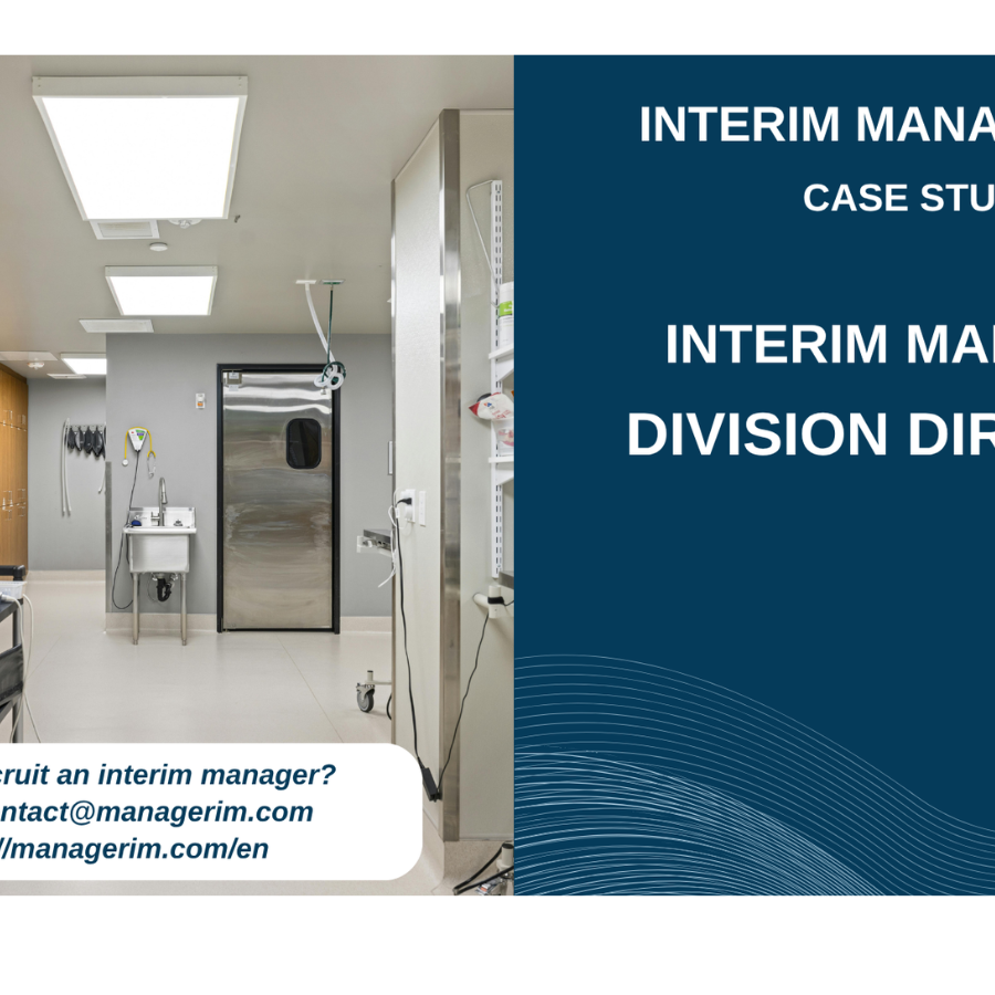 Interim Manager Division Director MANAGERIM