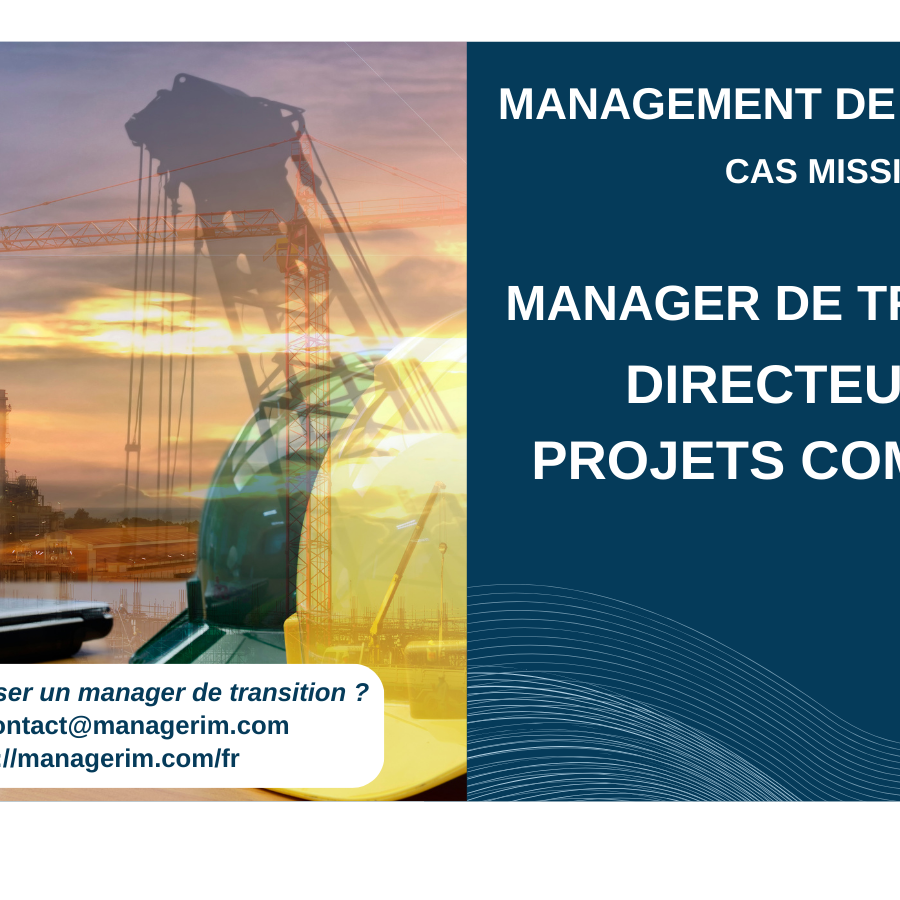 Manager de Transition Directeur de Projets Complexes MANAGERIM