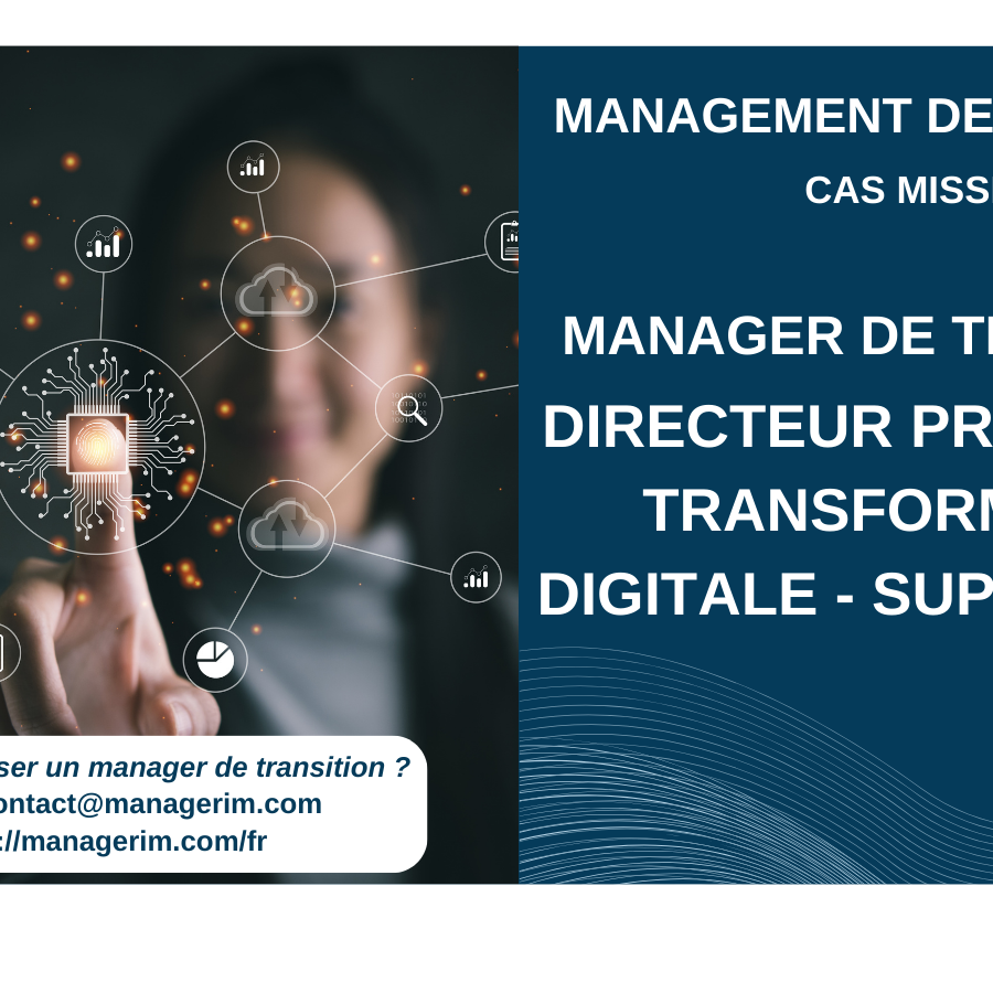 Manager de Transition Directeur Programme Transformation Digitale MANAGERIM