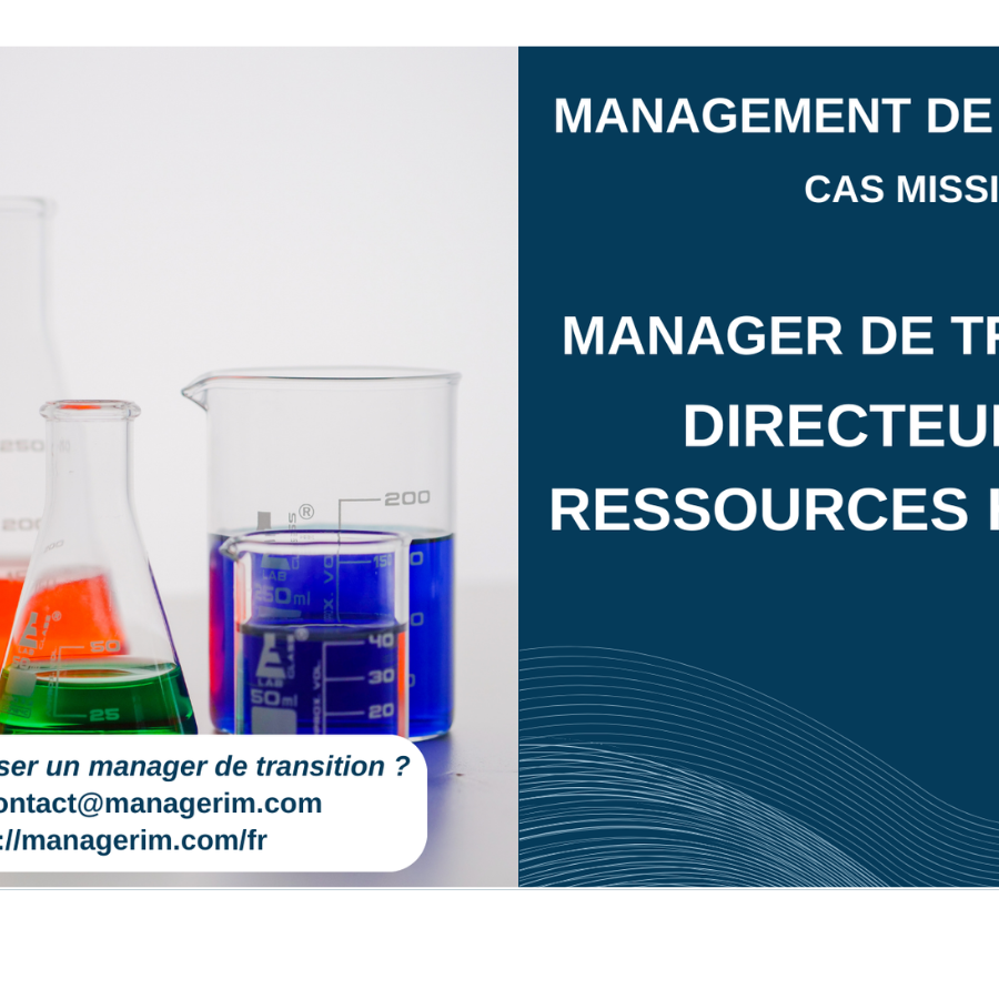 Management de Transition Directeur des Ressources Humaines Chimie MANAGERIM