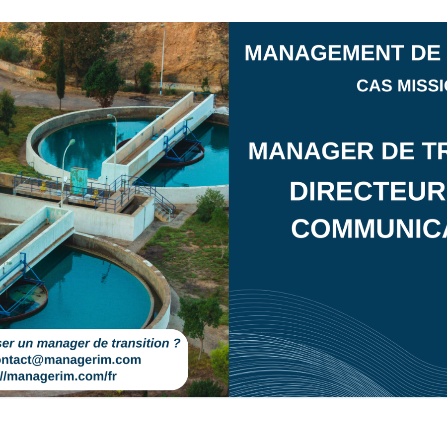 Management de Transition Directeur Communication Utilities et Environnement MANAGERIM