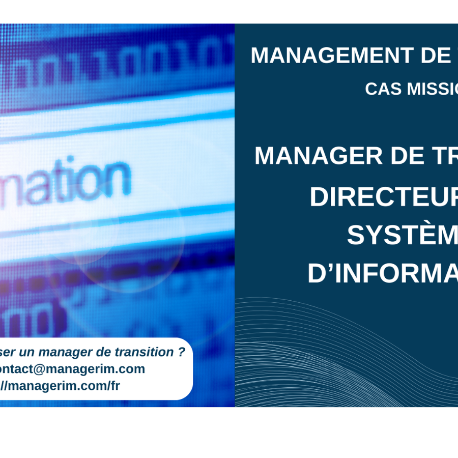 Management de Transition Directeur des Systèmes d'Information Santé MANAGERIM