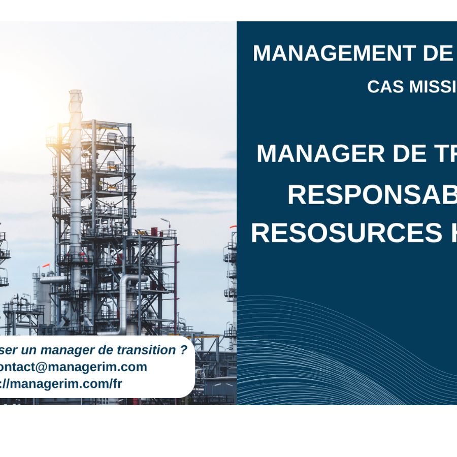 Manager de Transition Responsable des Ressources Humaines Industrie MANAGERIM