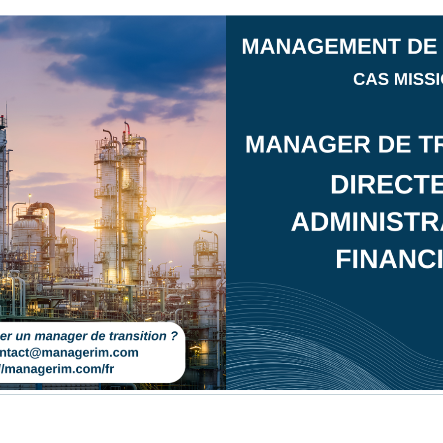 Manager de Transition Directeur Administratif Financier Secteur Industriel  MANAGERIM