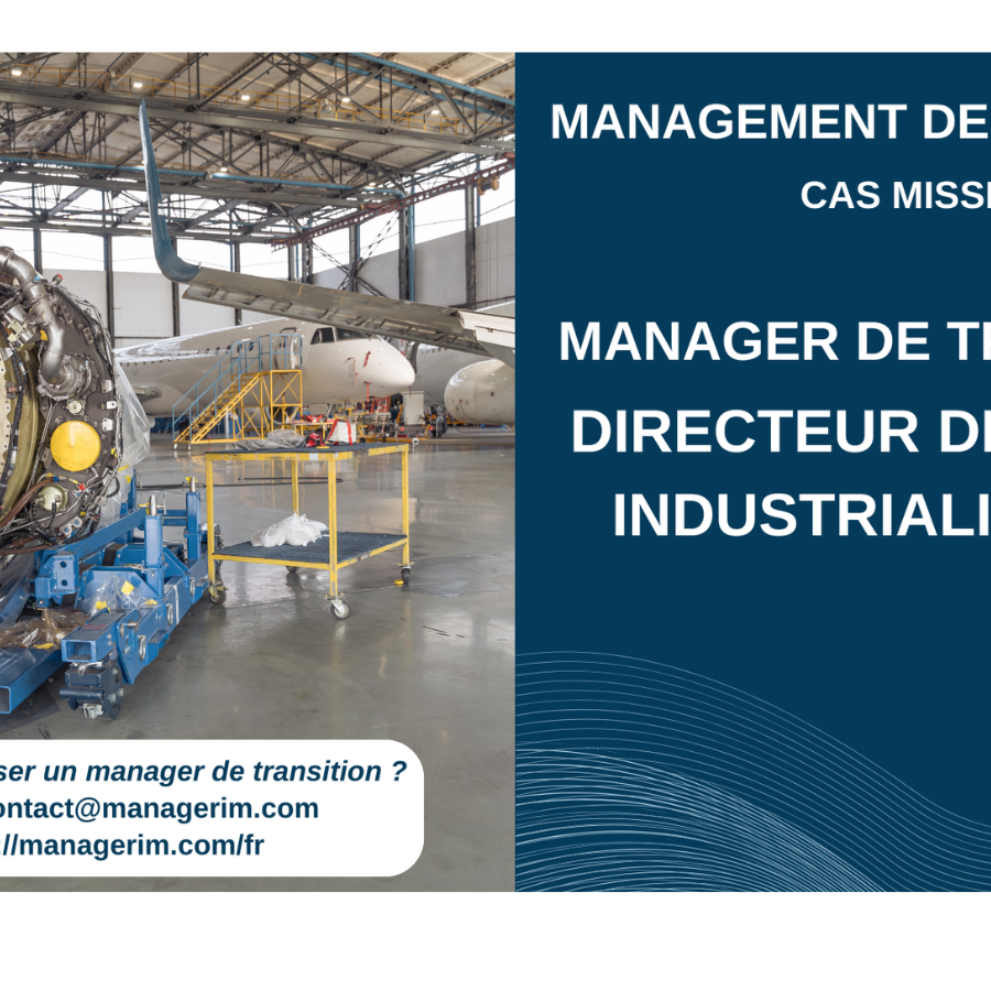 Manager de Transition Directeur de Projet Industrialisation Aéronautique MANAGERIM