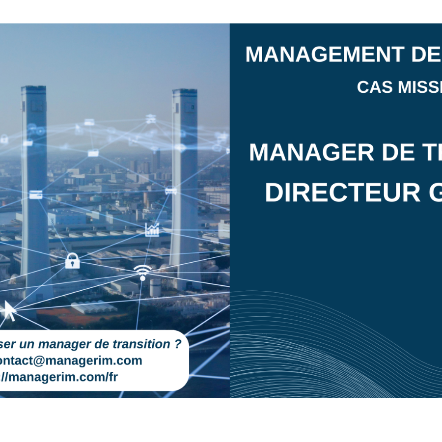 Manager de Transition Directeur de Projet Industrialisation Aéronautique MANAGERIM