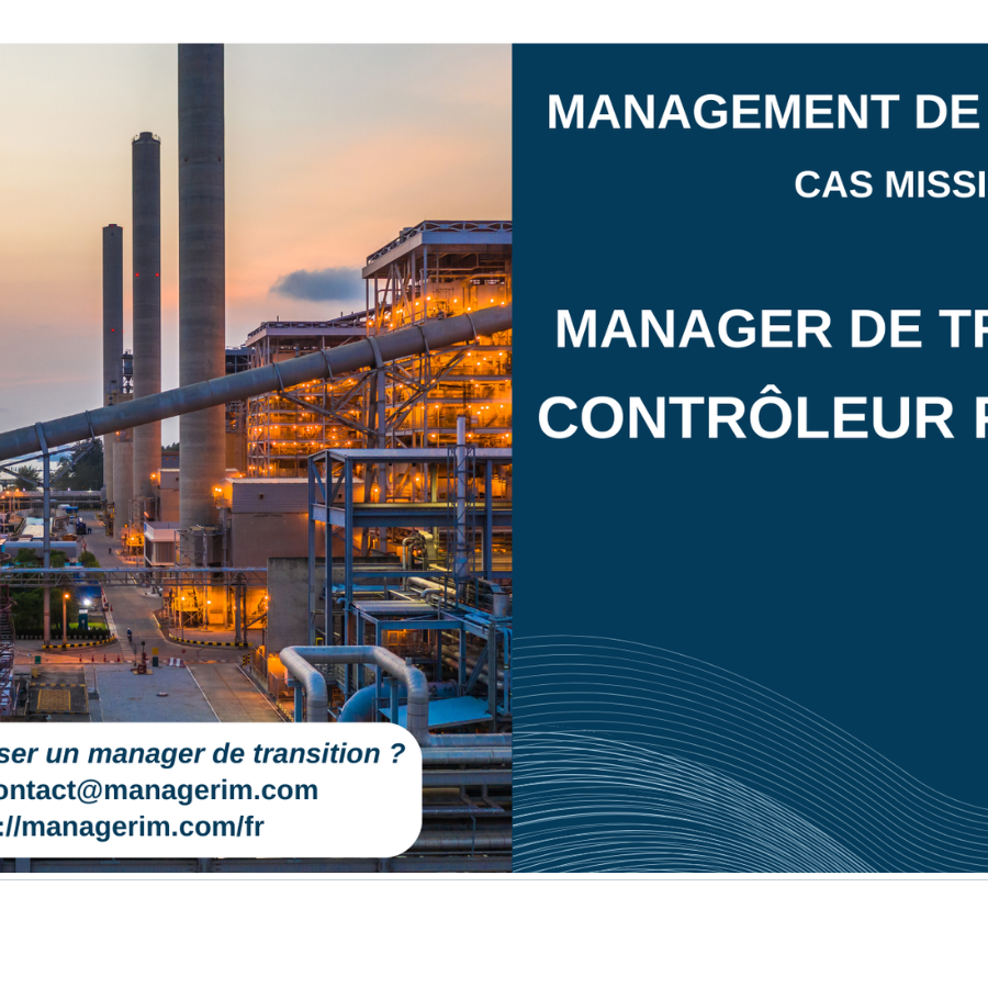 Manager de Transition Contrôleur Financier Industrie MANAGERIM