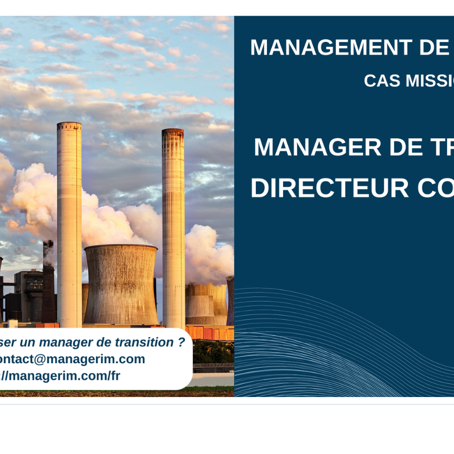 Manager de Transition Directeur Comptable Industrie MANAGERIM