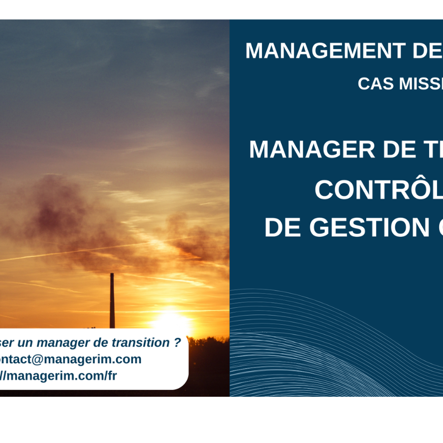 Manager de Transition Contrôleur de Gestion Groupe Secteur Industriel Industrie MANAGERIM